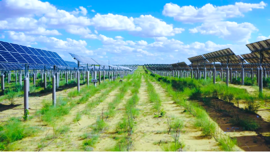 专业配资门户 中广核内蒙古构建清洁能源产业集群 有效治沙超18万亩