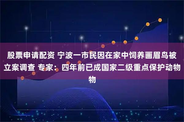 股票申请配资 宁波一市民因在家中饲养画眉鸟被立案调查 专家：四年前已成国家二级重点保护动物